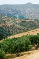 235_Kreta Wschodnia